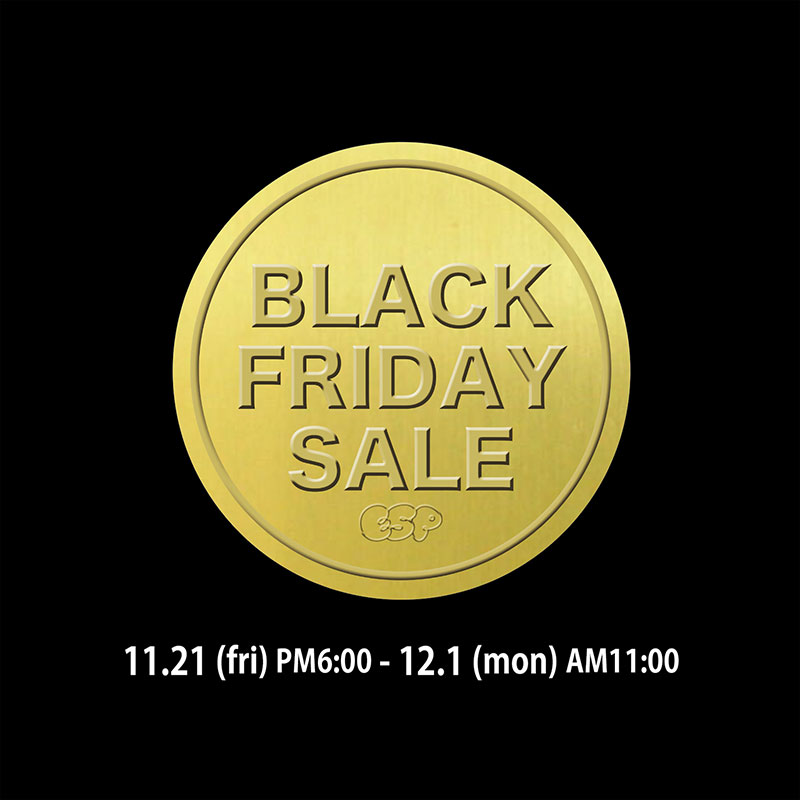 BLACK FRIDAY SALE