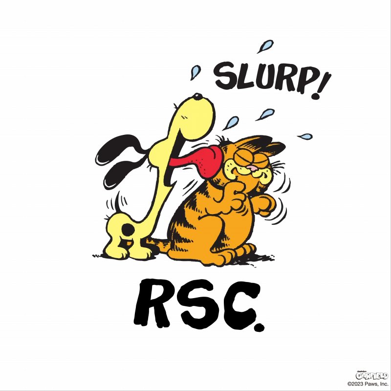 ROUGH SKETCH CLOTHING(ラフスケッチクロージング)/ RSC x GARFIELD SLURP S/S TEE -2.COLOR-