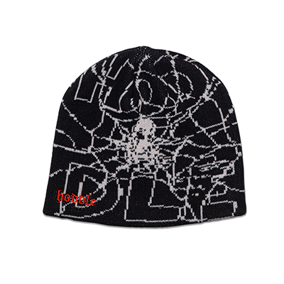 Hoddle Skateboards（ホドル）/ WEB BEANIE -2.COLOR-