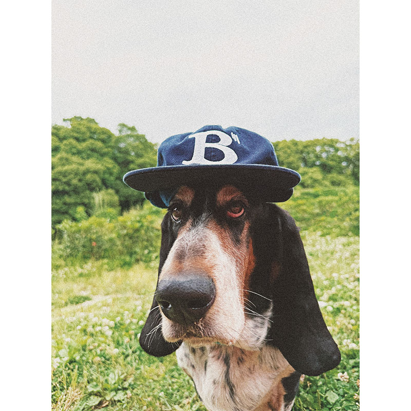 ROUGH SKETCH CLOTHING(ラフスケッチクロージング)/ BBB IIILINE 6PANEL CAP -2.COLOR-