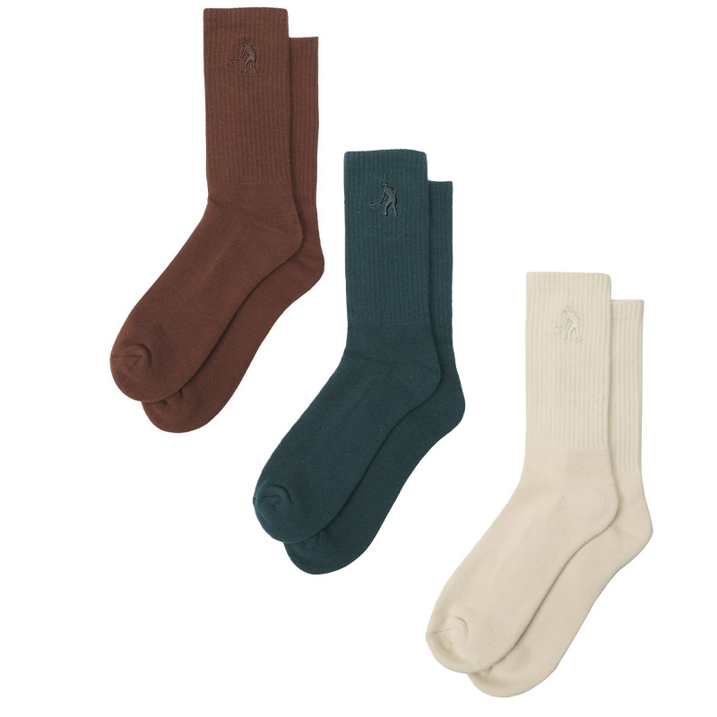 PASS PORT(パスポート)/ Solid Workers Sox -3.COLOR-