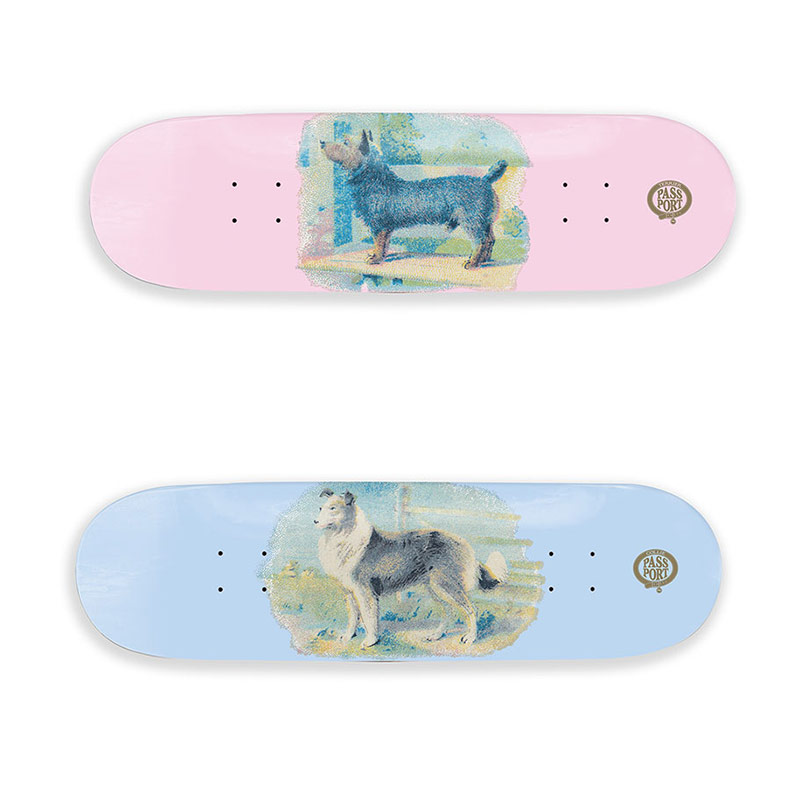 PASS PORT(パスポート)/ Hybrid Vigour Series -2.COLOR-