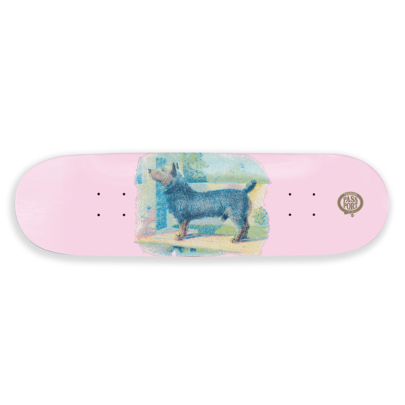 PASS PORT(パスポート)/ Hybrid Vigour Series -2.COLOR-(PINK)