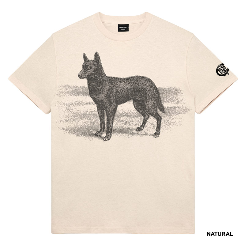PASS PORT(パスポート)/ Kelpie Tee -2.COLOR-