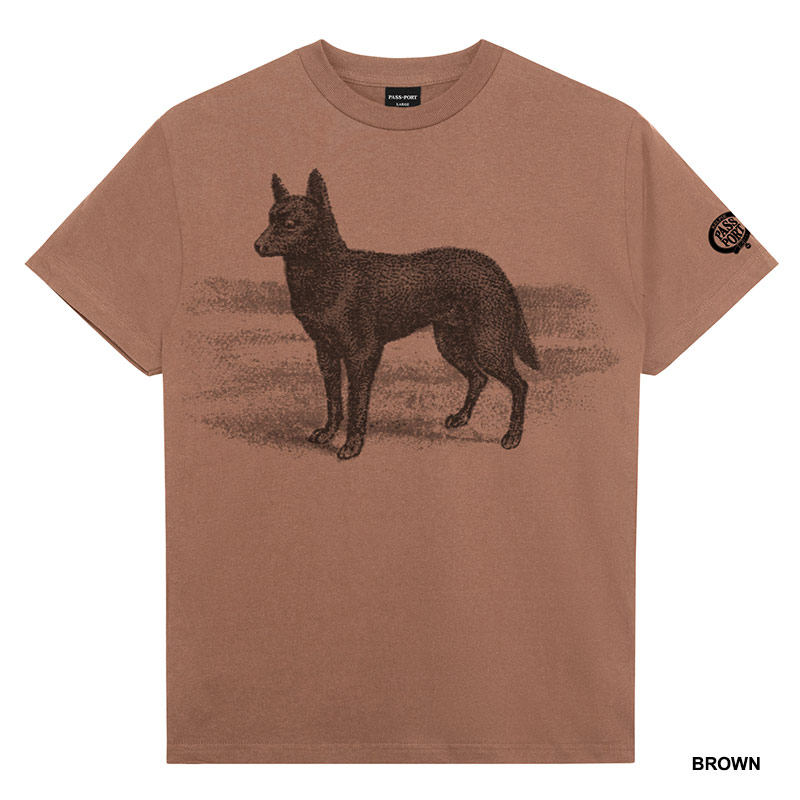 PASS PORT(パスポート)/ Kelpie Tee -2.COLOR-