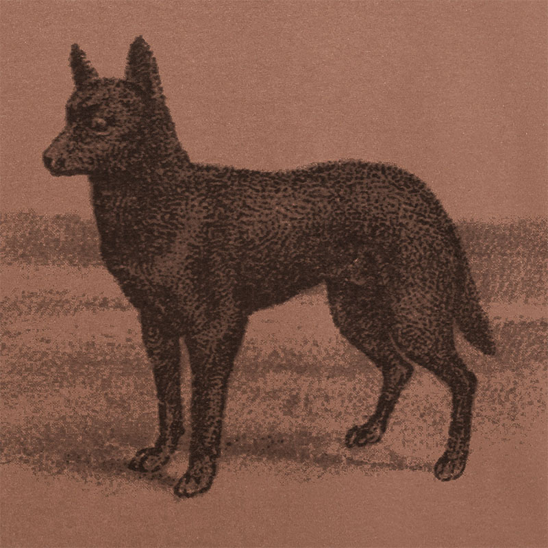 PASS PORT(パスポート)/ Kelpie Tee -2.COLOR-