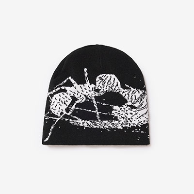 バリエーション画像