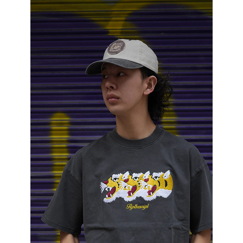 FLIP THE SCRIPT(フリップザスクリプト)/ WAPPEN 2TONE CAP -2.COLOR-