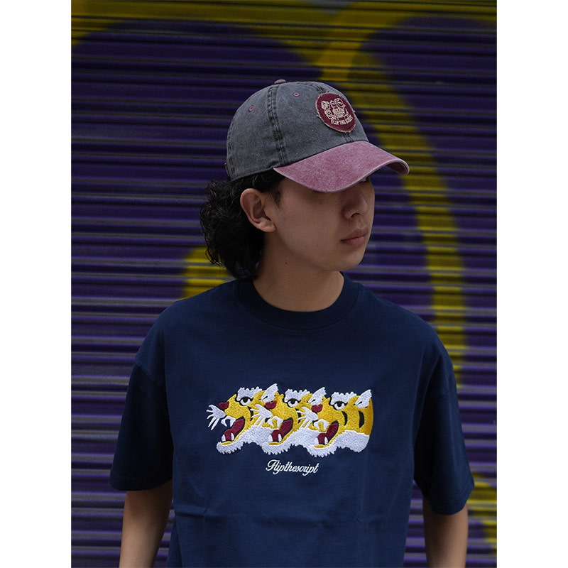 FLIP THE SCRIPT(フリップザスクリプト)/ WAPPEN 2TONE CAP -2.COLOR-