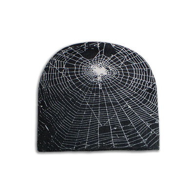 Earl Skateboards(アール スケートボーズ)/ SPIDER WEB SKULLY -BLACK-
