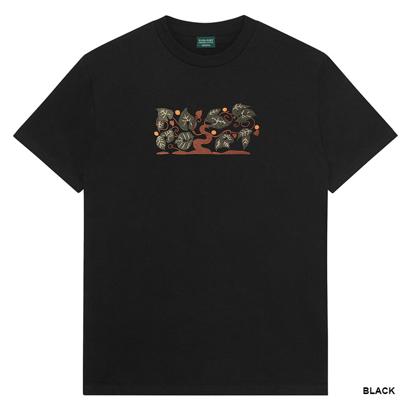 PASS PORT(パスポート)/ Orchard Organic Tee -2.COLOR-
