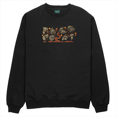 PASS PORT(パスポート)/ Orchard Organic Sweater -2.COLOR-
