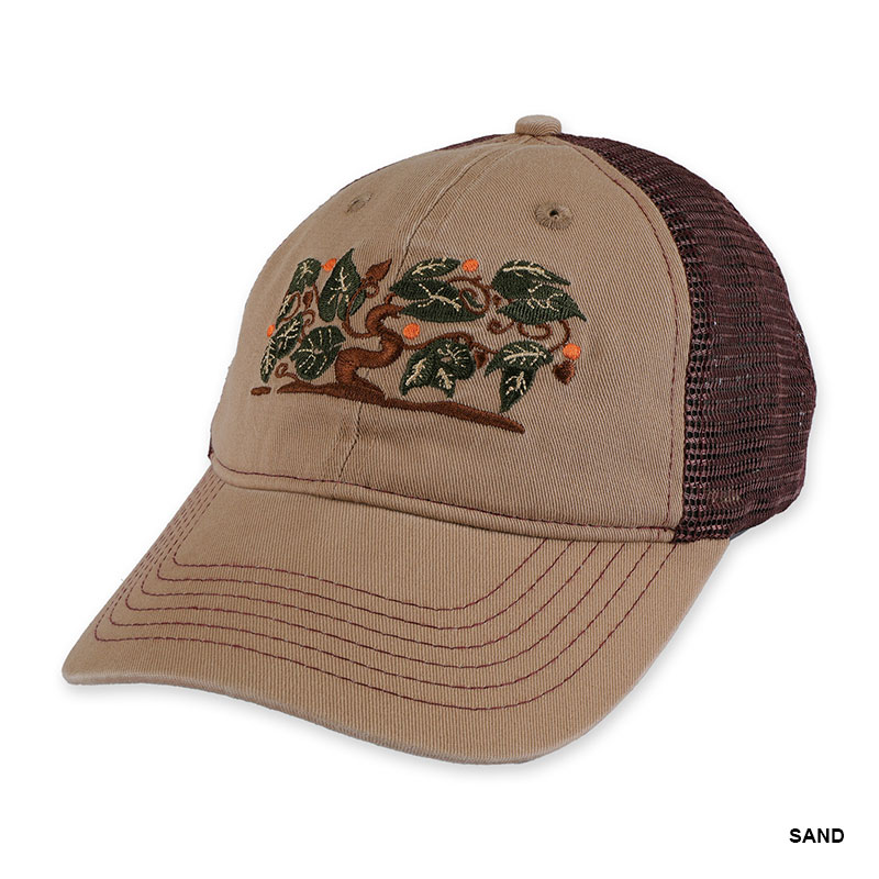 PASS PORT(パスポート)/ Orchard Leagues Trucker -2.COLOR-