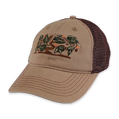 PASS PORT(パスポート)/ Orchard Leagues Trucker -2.COLOR-