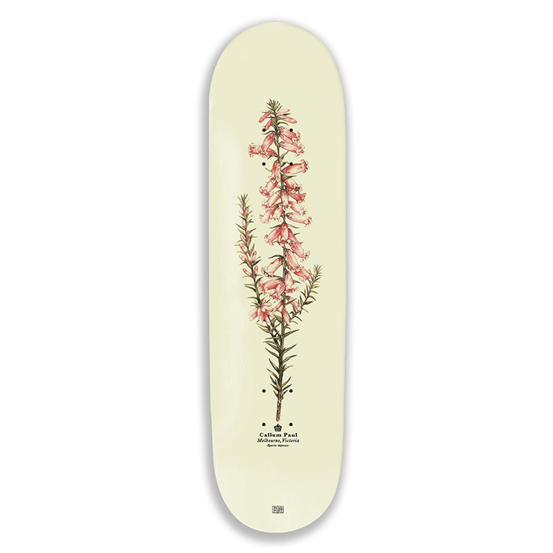PASS PORT(パスポート)/ Pink Heath Reissue -Callum.25-