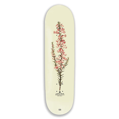 PASS PORT(パスポート)/ Pink Heath Reissue -Callum.25-