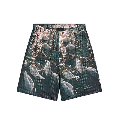 RASSVET(ラスベート)/ SWAN MESH SHORTS -MULTI-