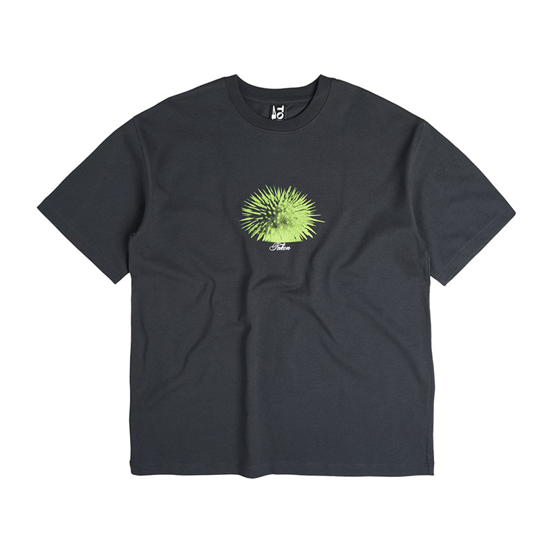 バリエーション画像