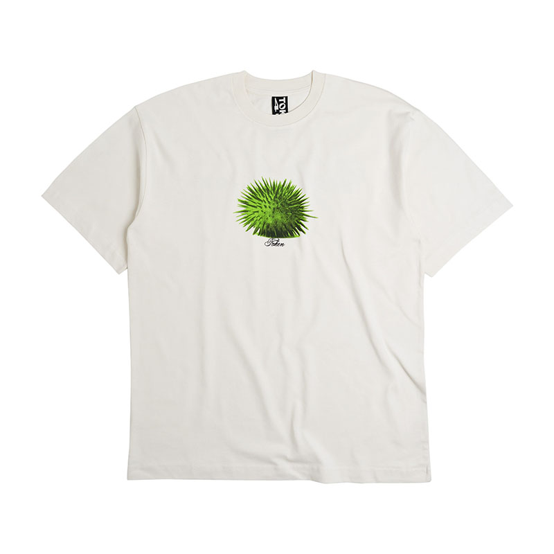 バリエーション画像