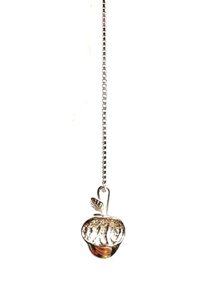 IN-PUT-OUT(インプットアウト)/ Real Apple NECKLACE SILVER 925 -SILVER-